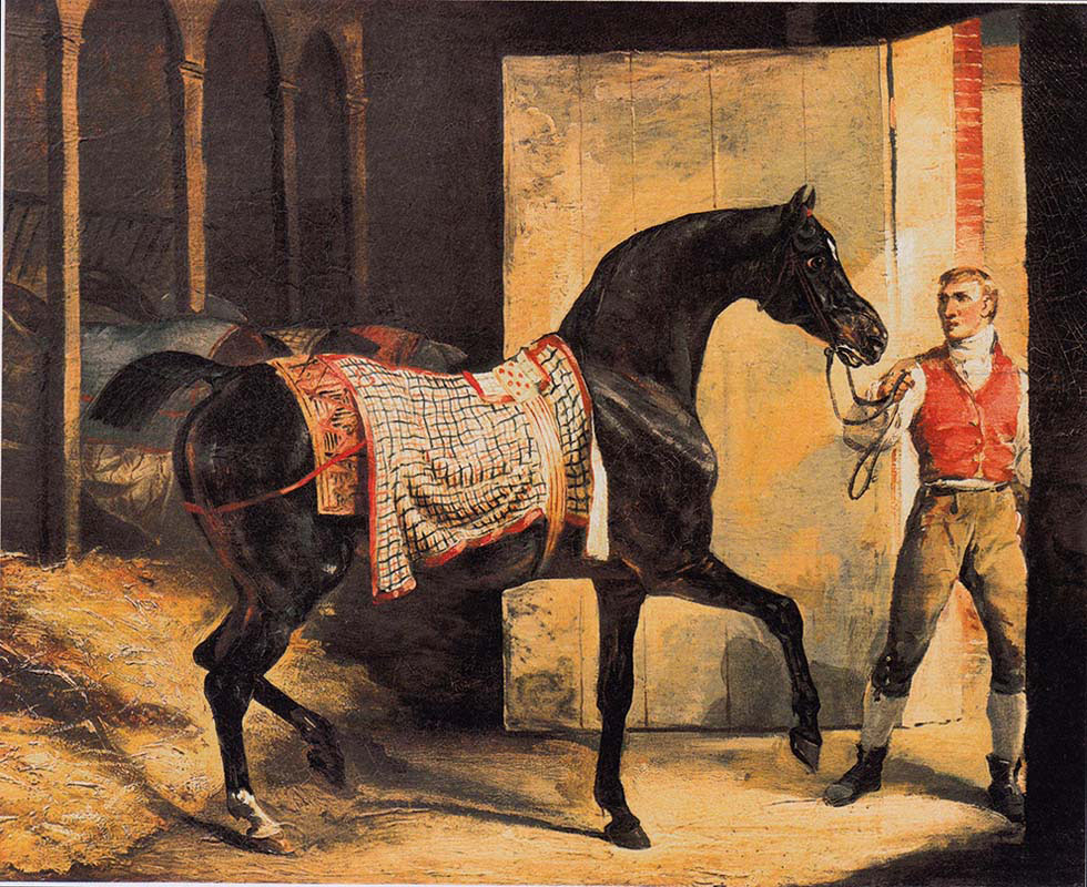 The Horse Goes from the Stable
